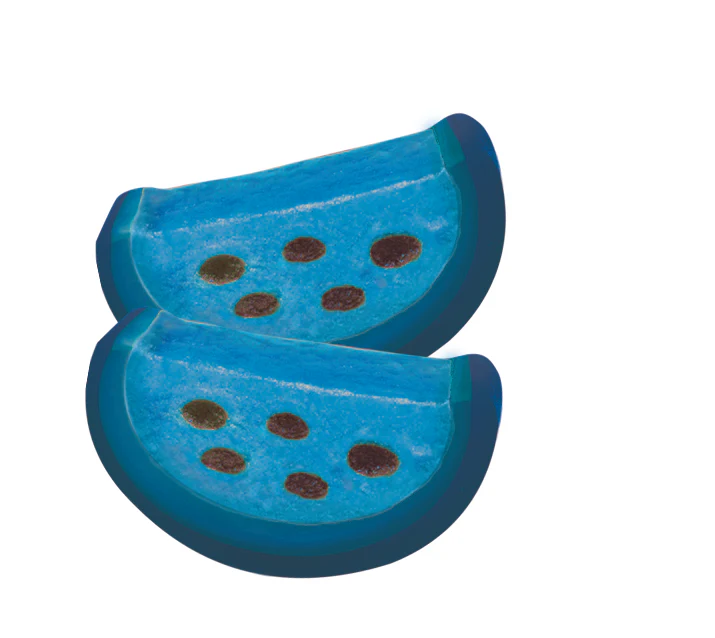 Vidal Raspberry Licorice Slices 250's 1.5Kg