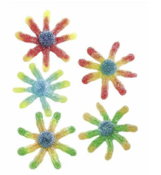 Vidal Sour Octopus 1Kg